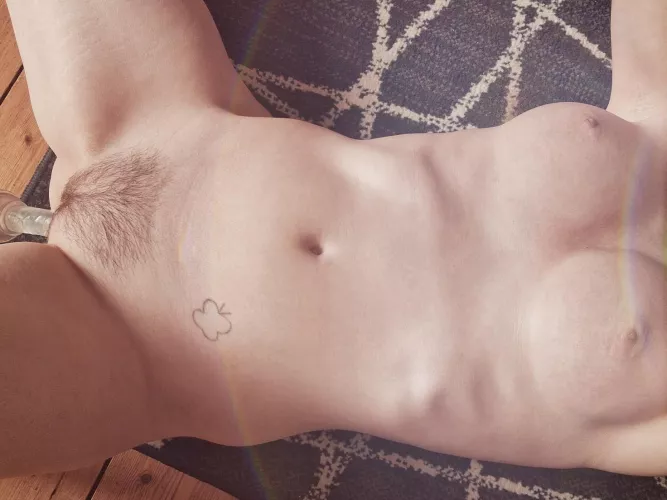 So proud of how my bush is growing! by yvpamv