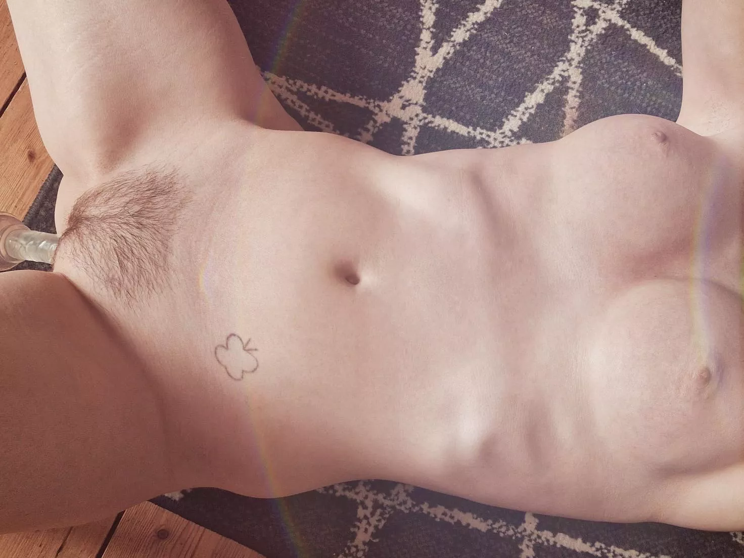 So proud of how my bush is growing! posted by yvpamv