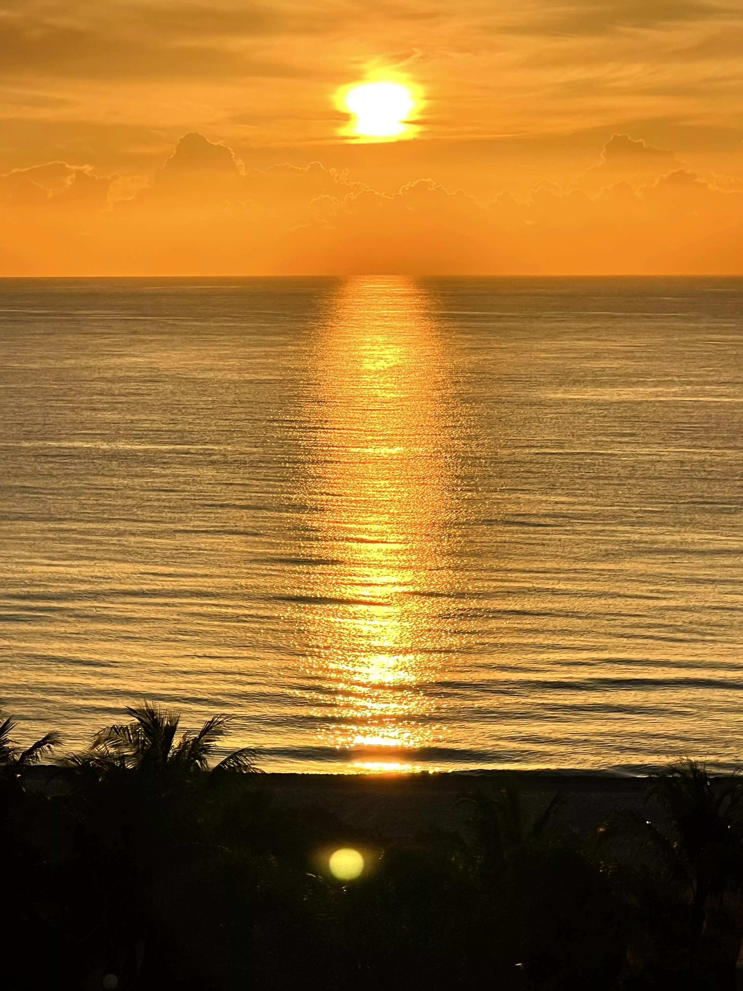 Warm morning this day posted by Lunayla