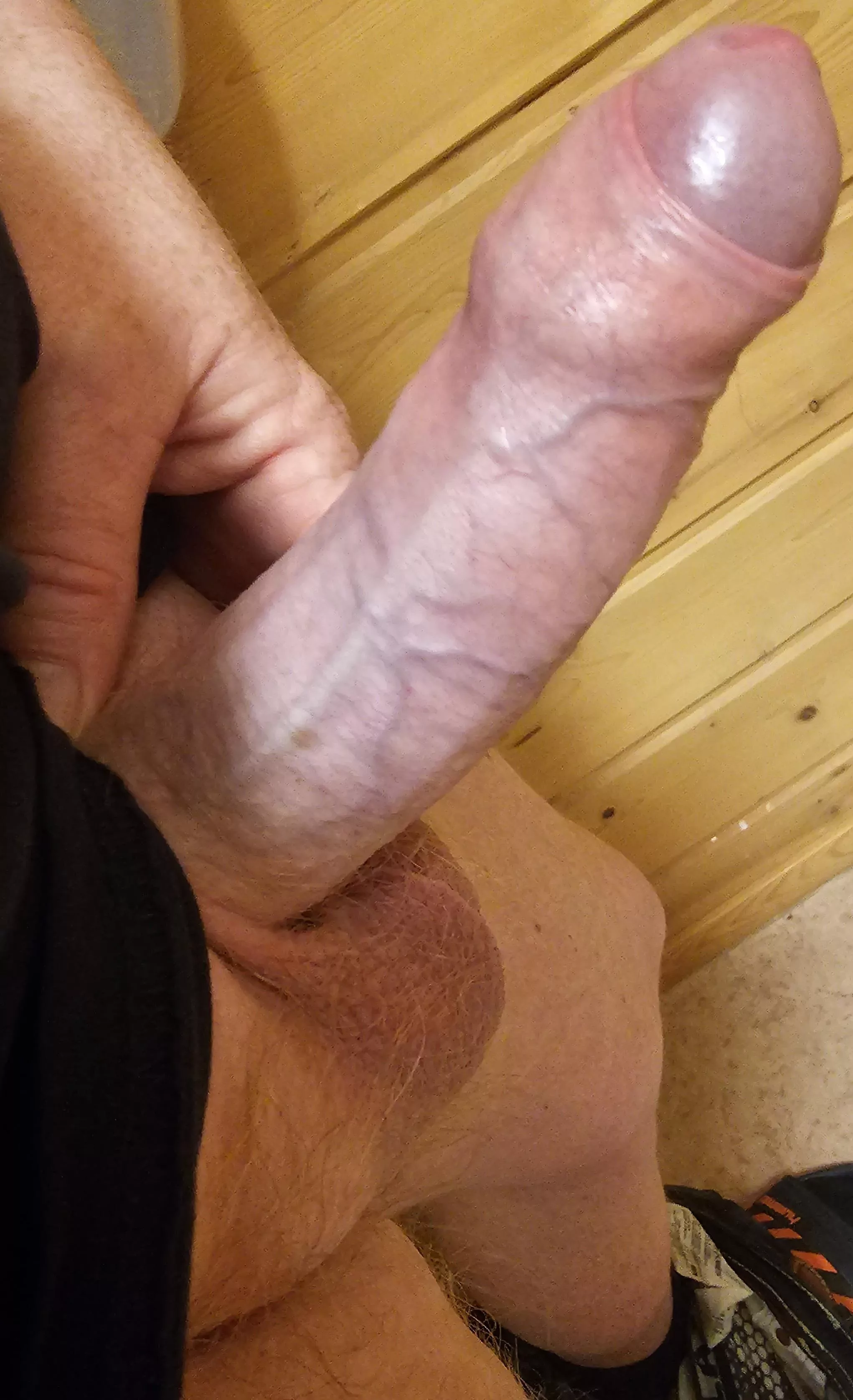 (50)wanna play? posted by royth49