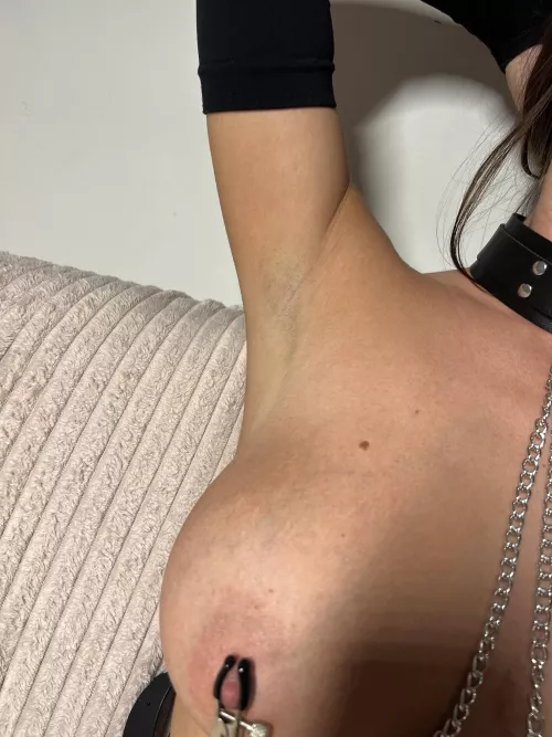 Armpit and nipple clamp, perfect combo😈 by Amateurforyou