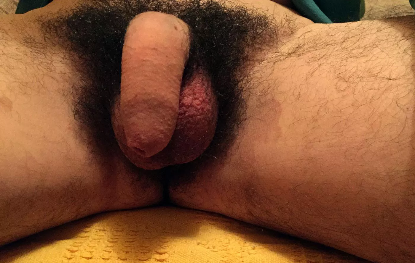 Could you imagine the smell of it? posted by anomjon90