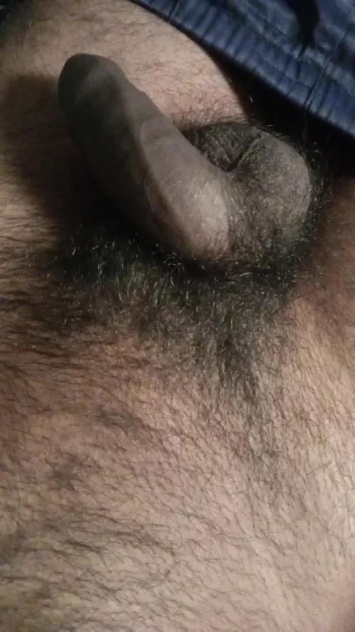 Do you like it? Or should I trim it? by No-Tomatillo-3740