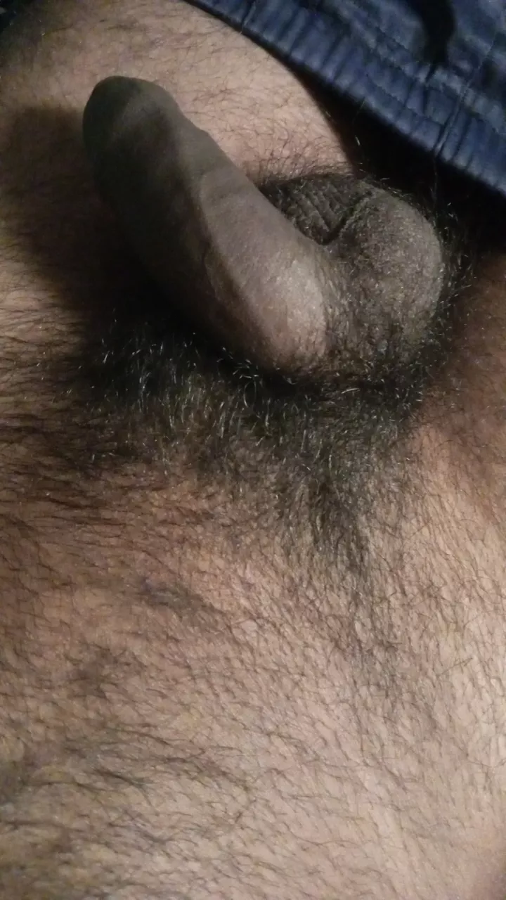 Do you like it? Or should I trim it? posted by No-Tomatillo-3740