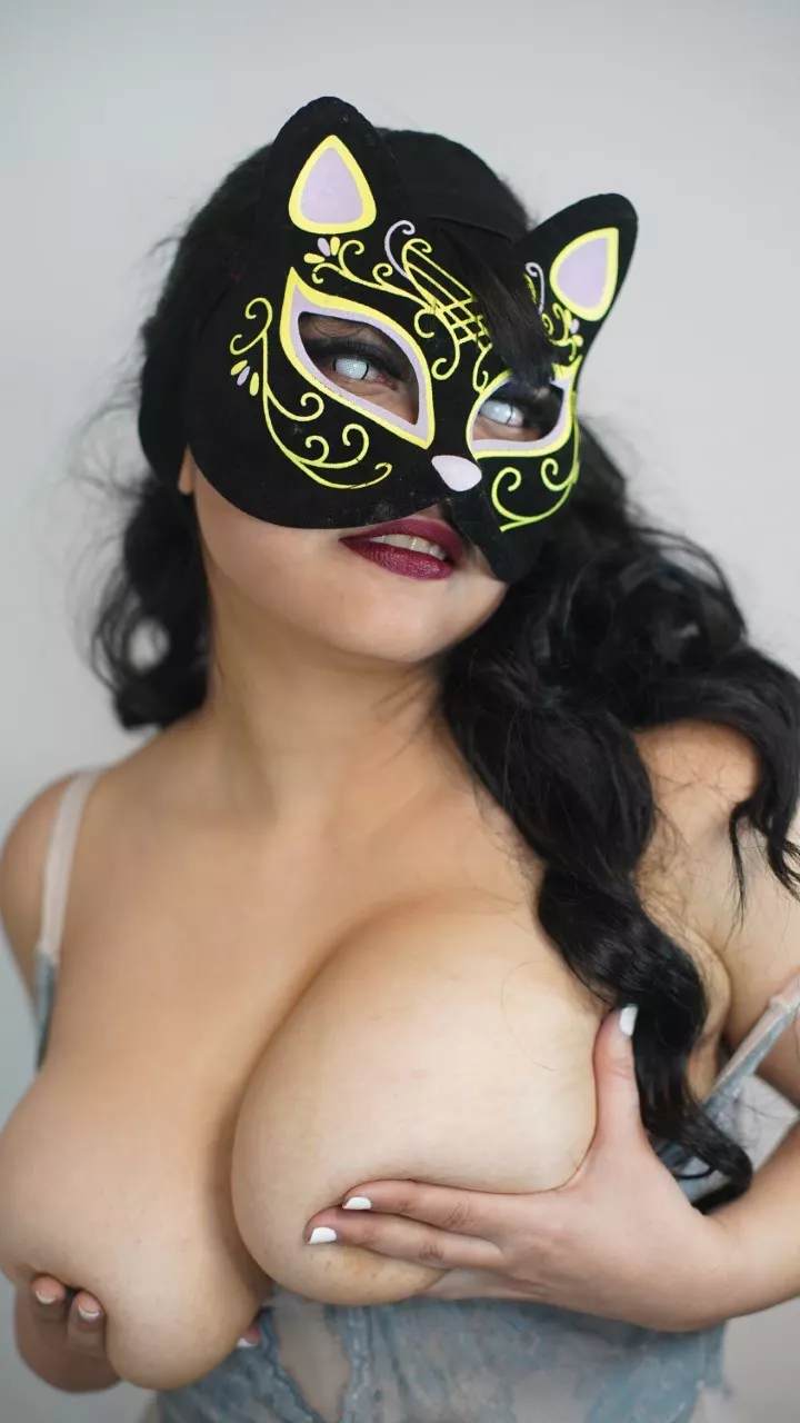 Do you want to pet this kitty? posted by miwit1