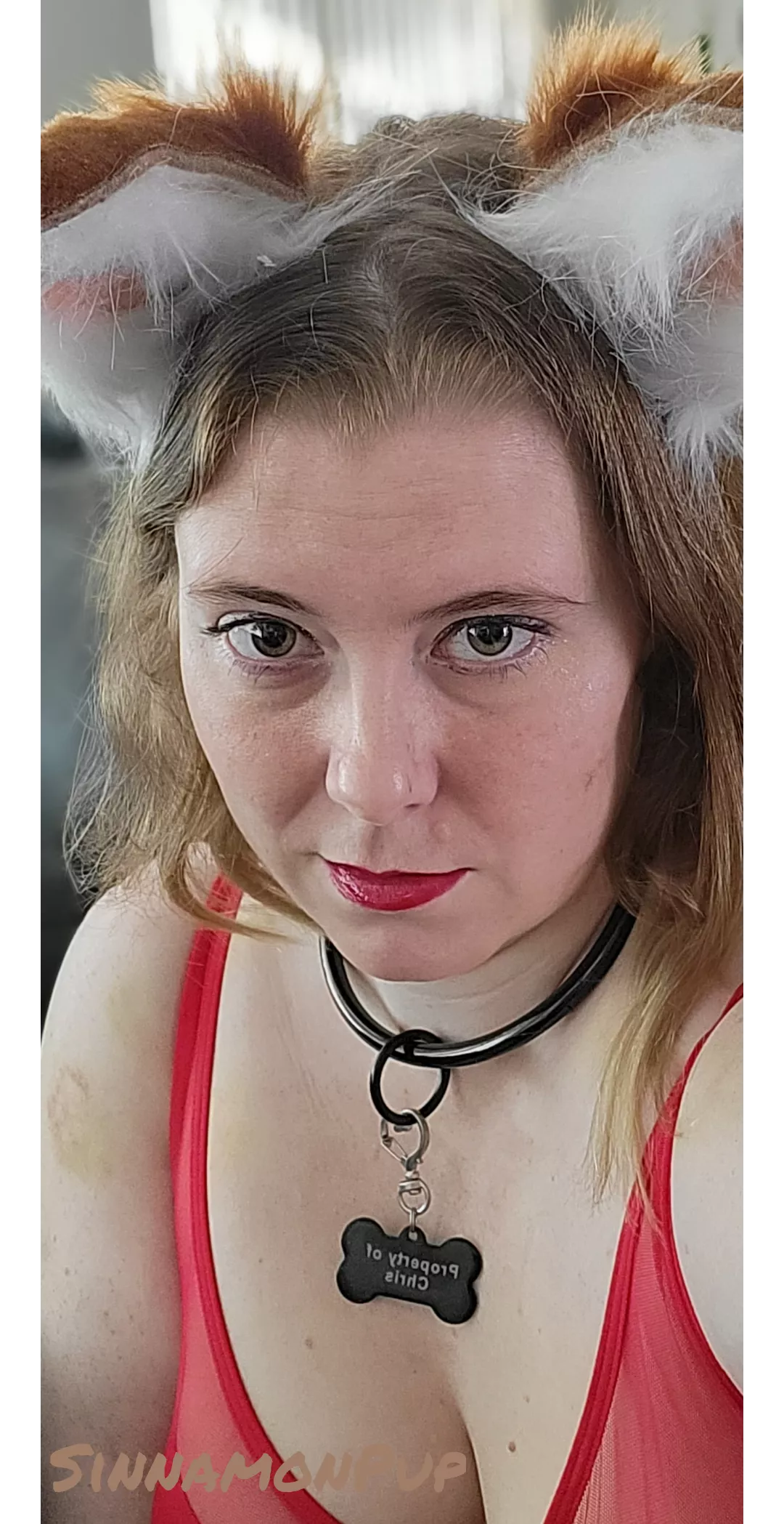 Feeling the puppy today posted by SinnamonPup