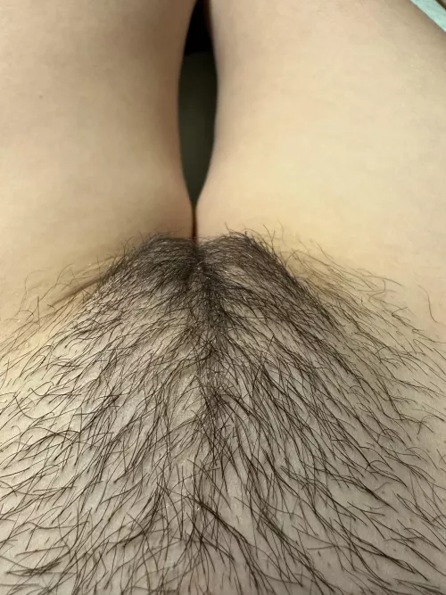 Hope you are into young girl with hairy pussy by draconia777