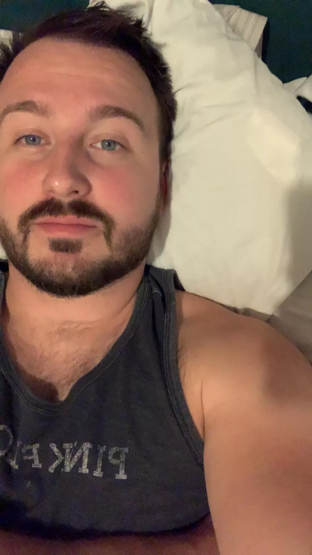 In need of cuddles! posted by Hadrian_Autmnleaf