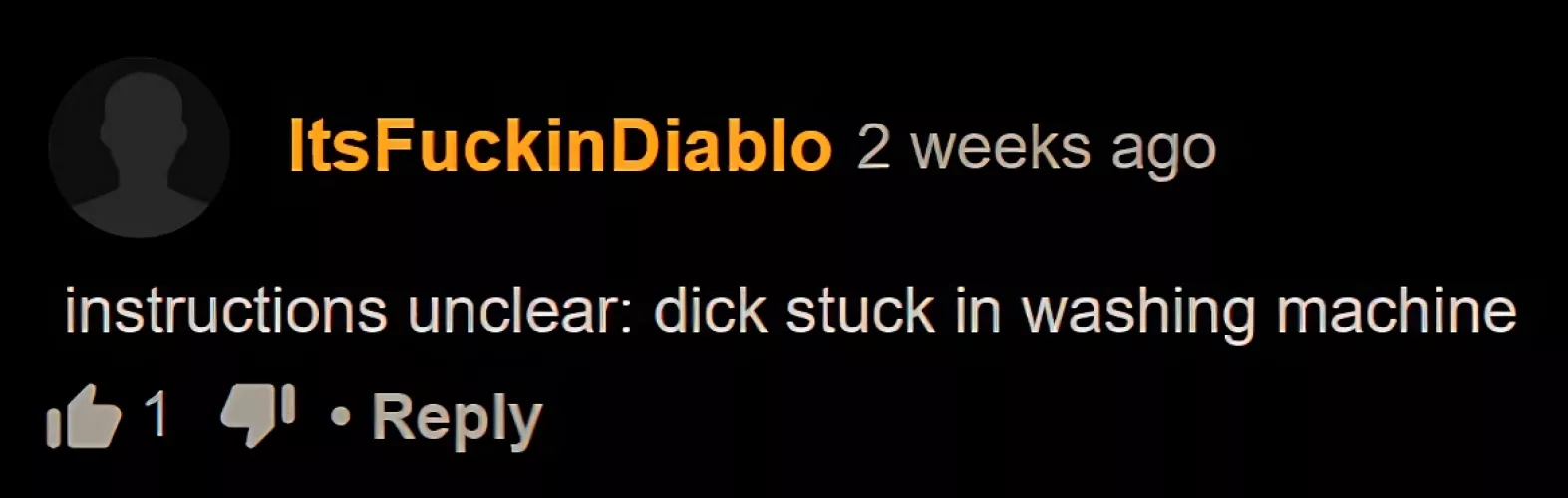 Instructions Unclear by EfficientHistorian