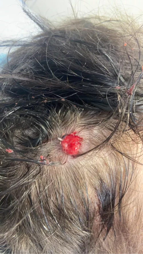 Just looking to see if any of you can help identify what the hell is going on by Winter_Leave_1769