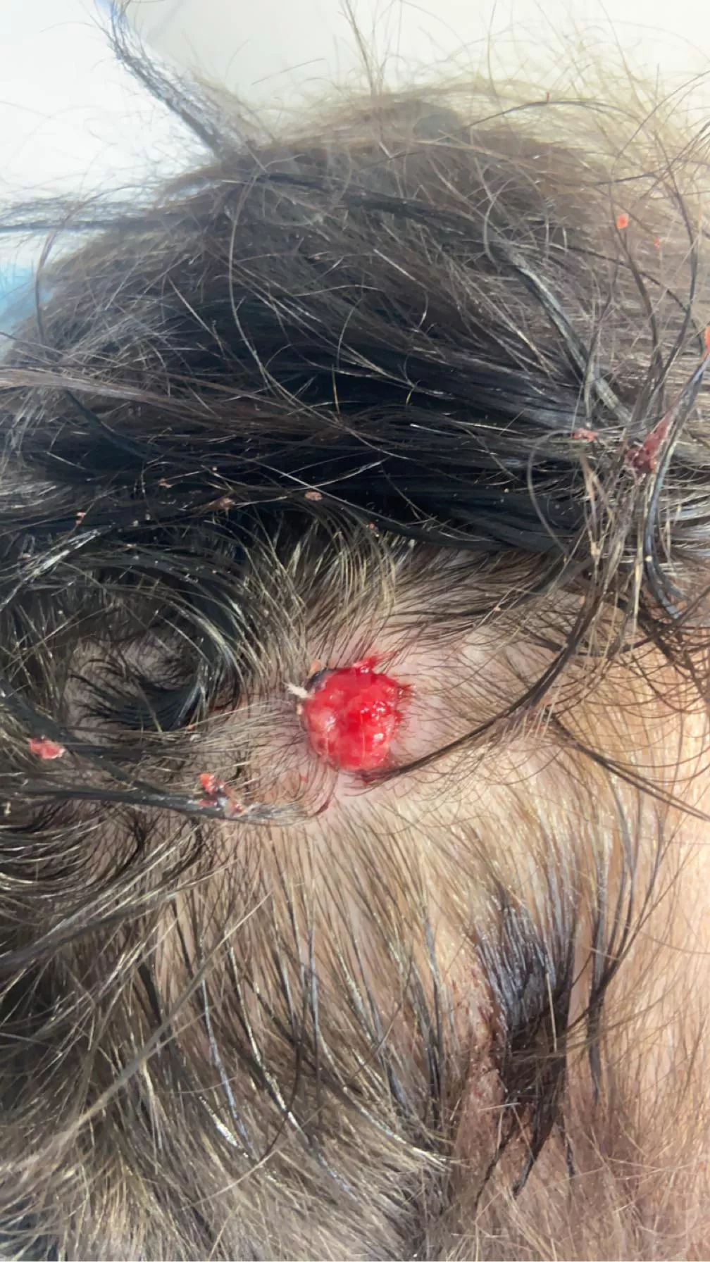 Just looking to see if any of you can help identify what the hell is going on posted by Winter_Leave_1769