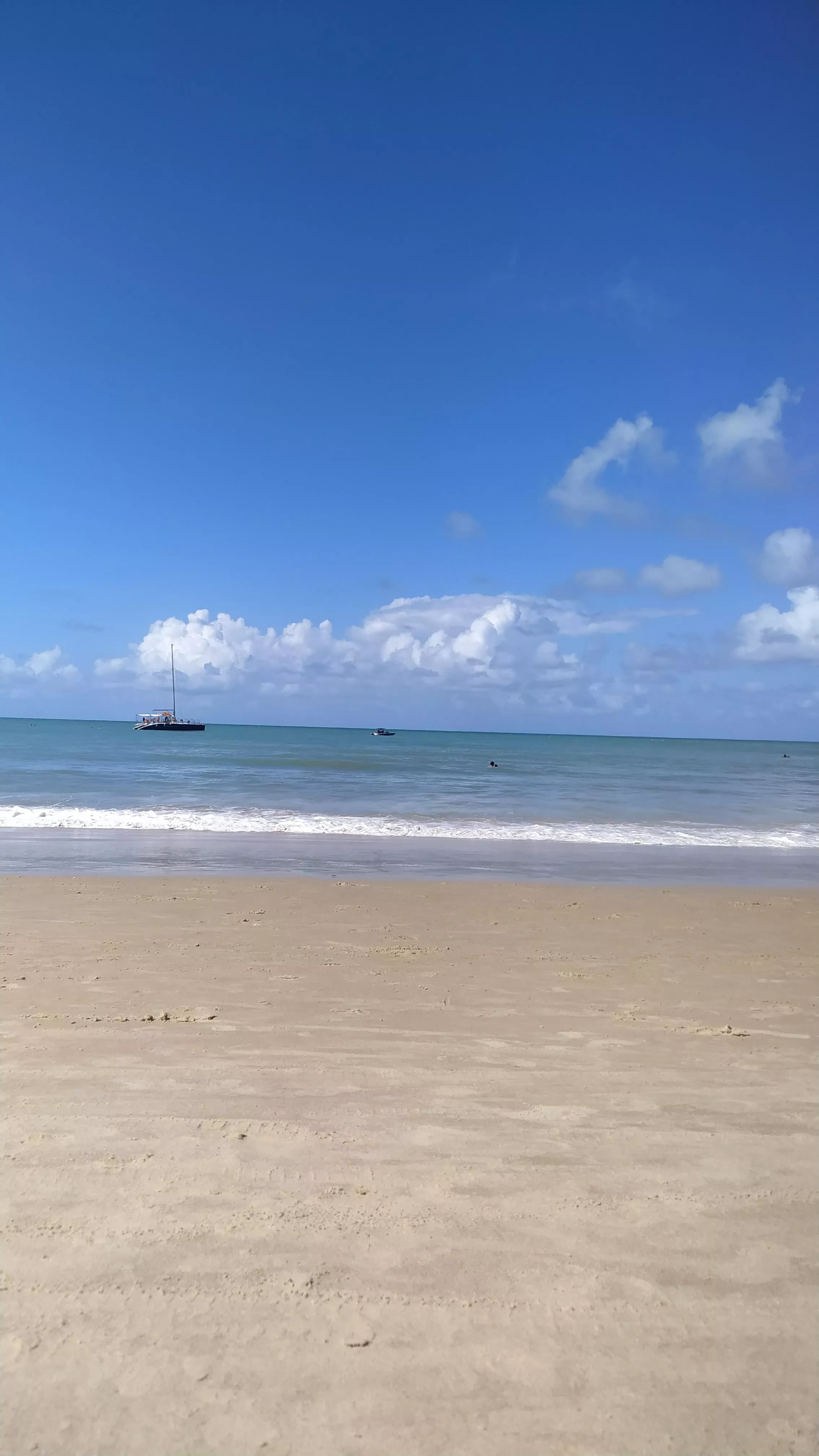 Lets go tropical Love's! posted by indiatropical