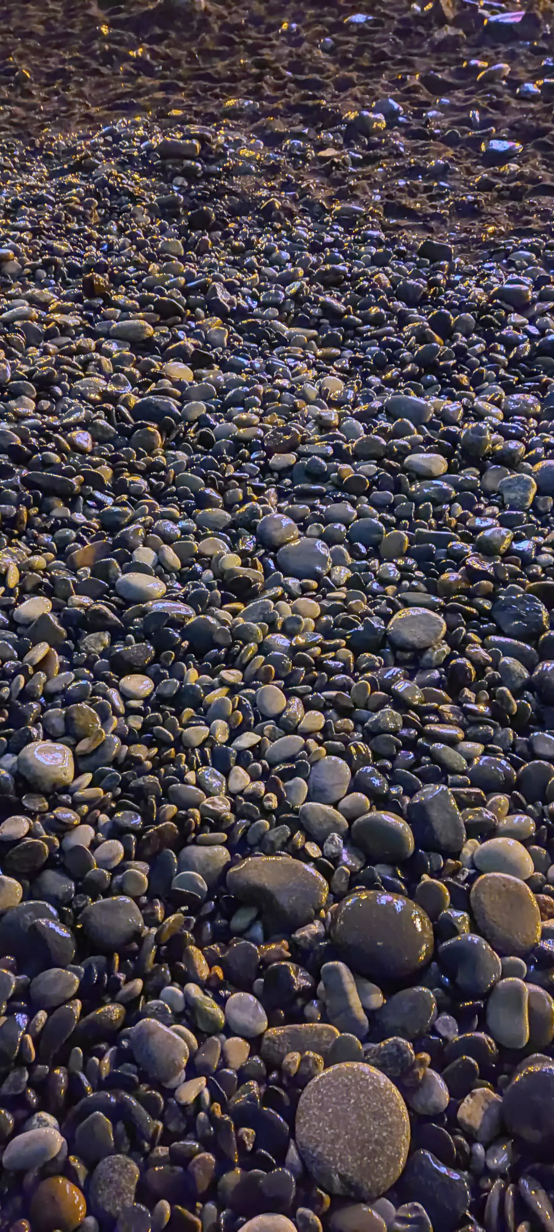 Night on earth posted by DollBabe001