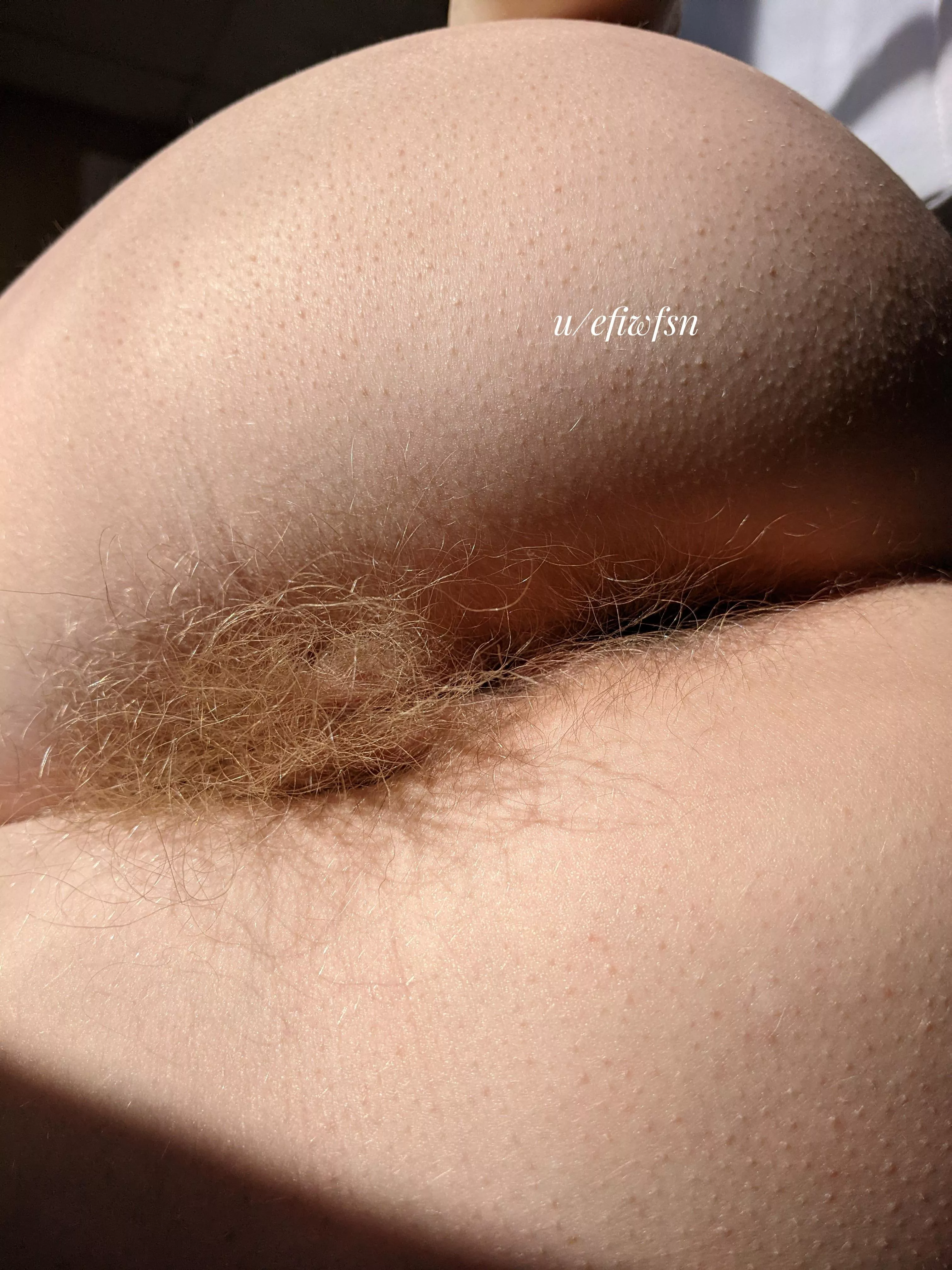 People ask me if my ass is hairy too. I say, see for yourself: posted by efiwfsn
