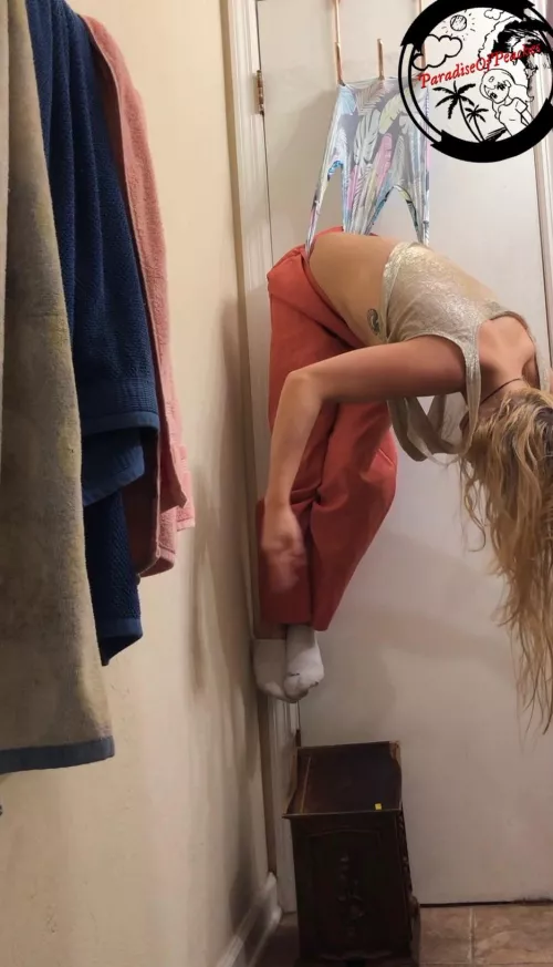 Princess hung by her Undies by DojoWedgieMaster