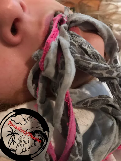 Tear off their panties and Shove them on their mouth by DojoWedgieMaster