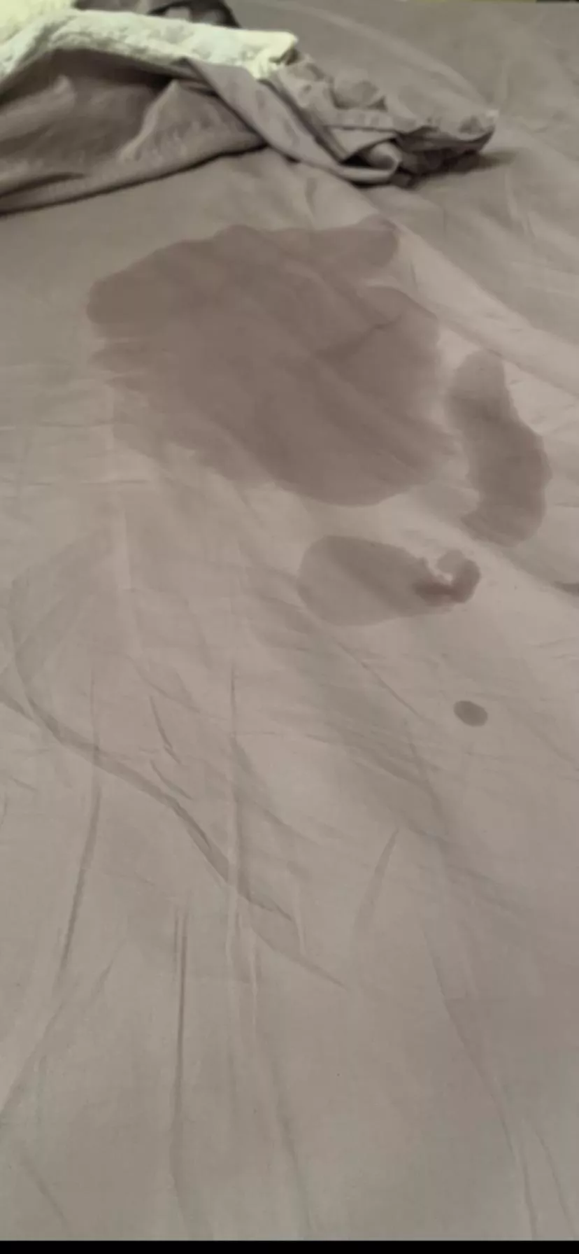 That was amazing posted by Addition_Prestigious