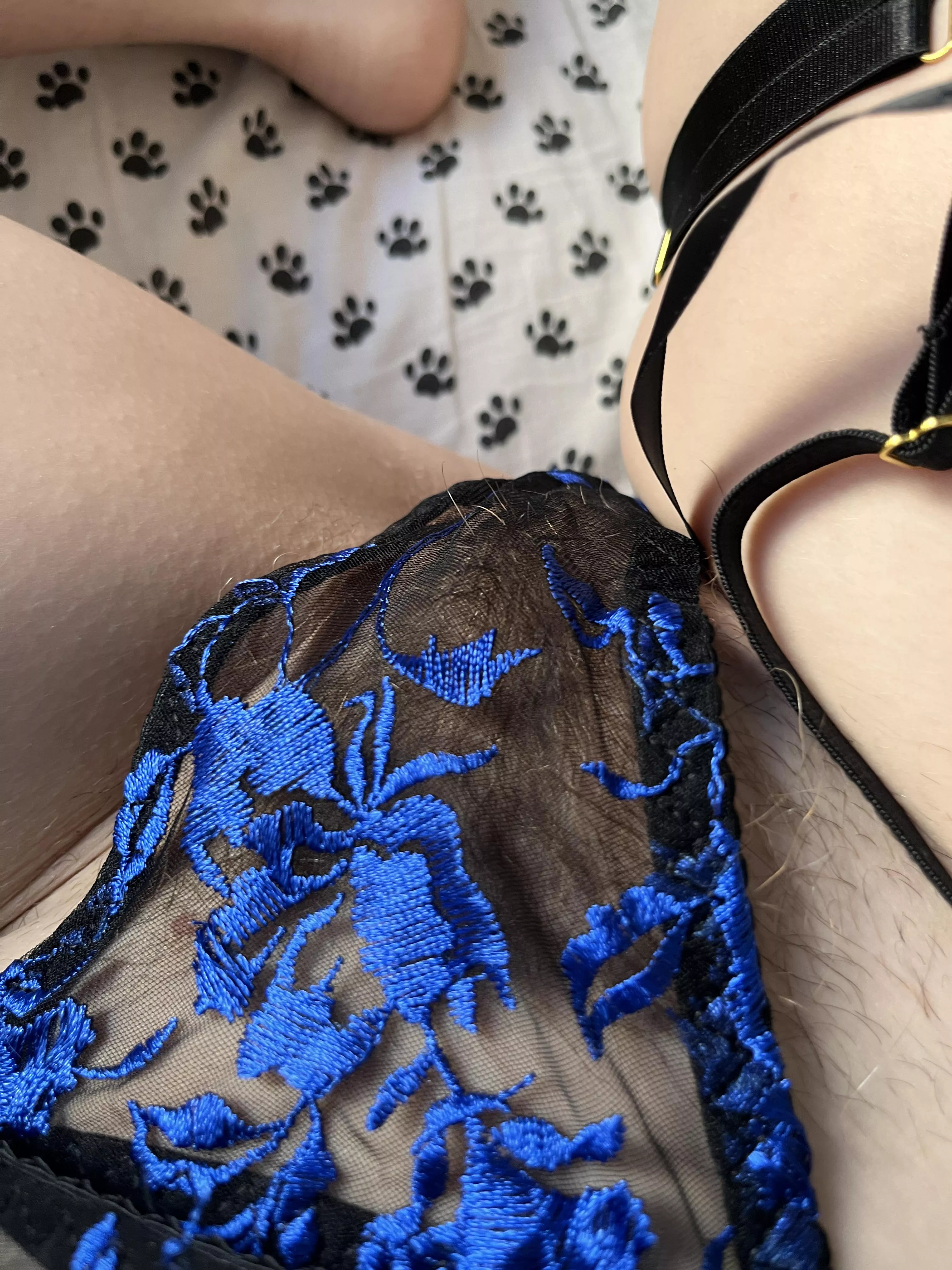 Will you get under my panties? posted by abbysunny