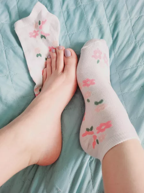 Yet another cute sock pair from my collection (OC) by SexyFootie