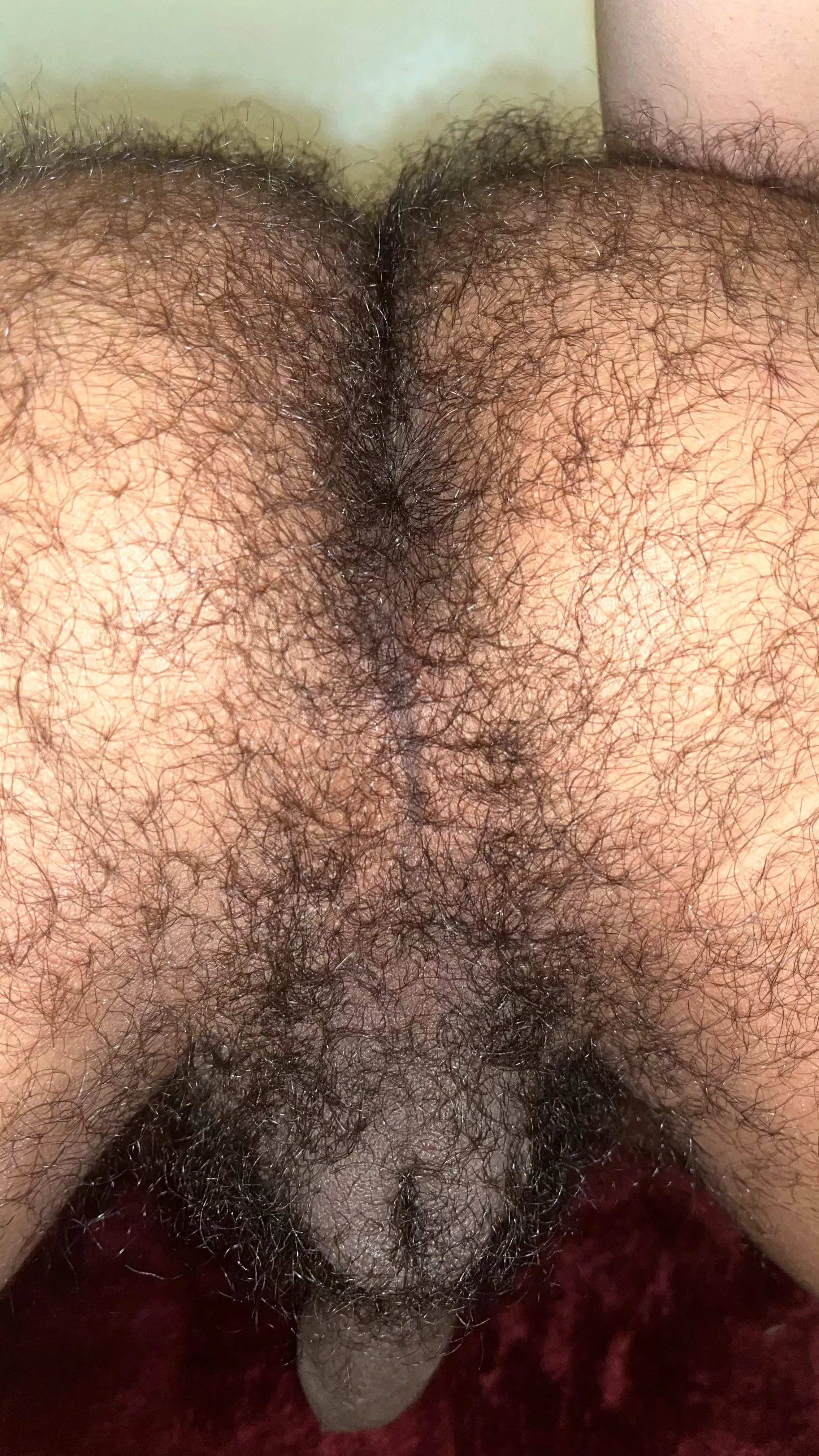 Your dose of hairy ass posted by BiTwink7769