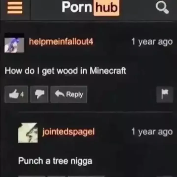bro does NOT know how to get wood in mincraft posted by Low_Connection2564