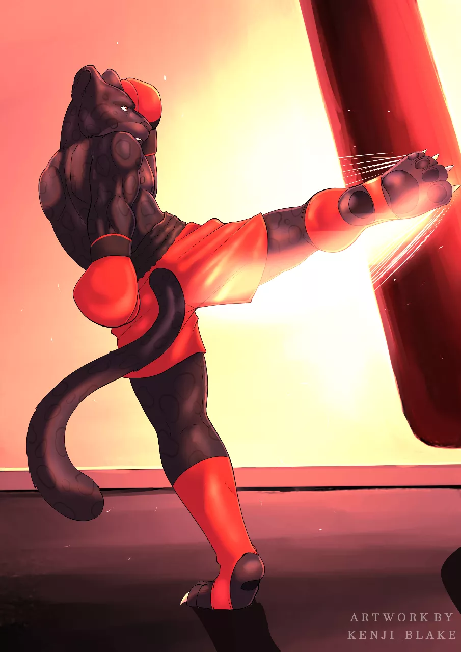 [Commission] Kick Boxing posted by Kenji_Blake