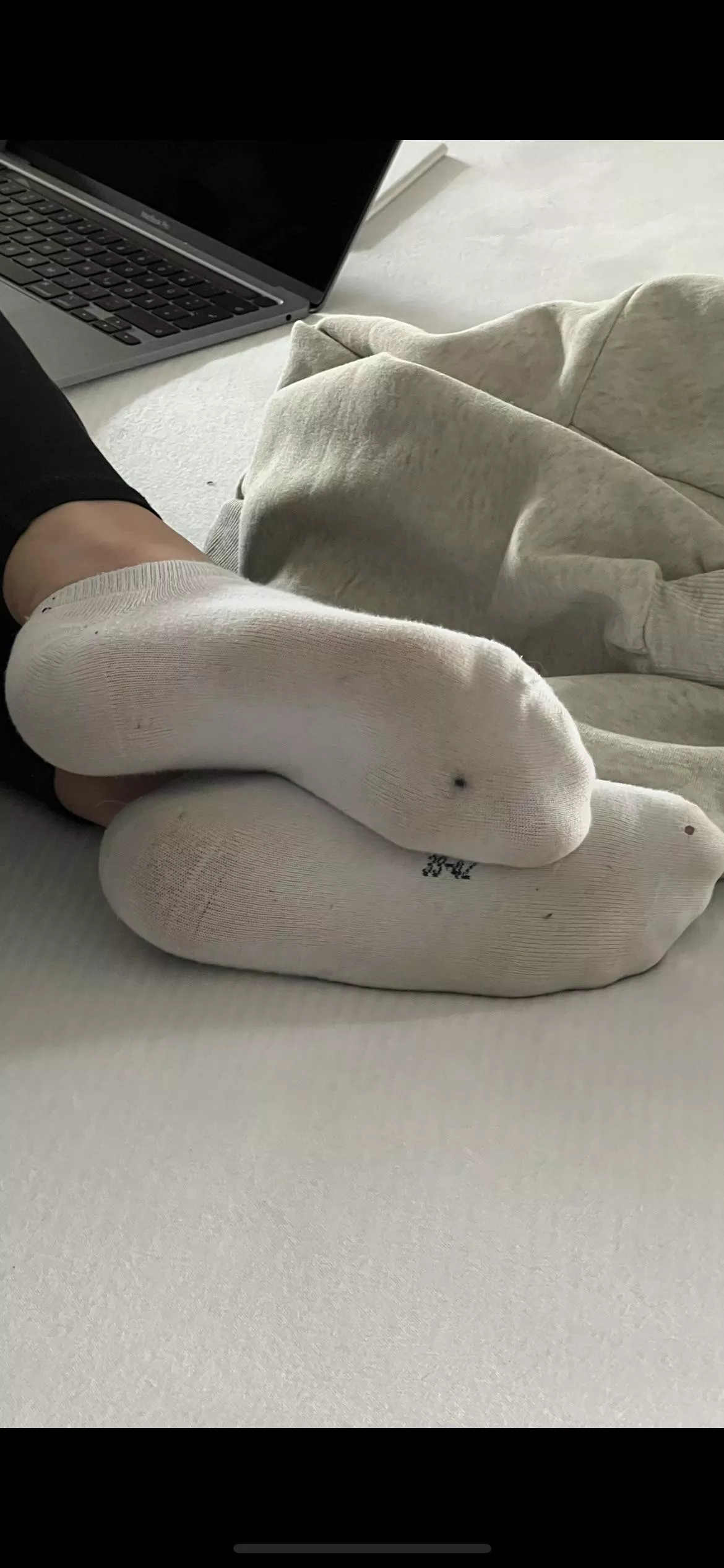 Do you like them? posted by No_Reflection_2689