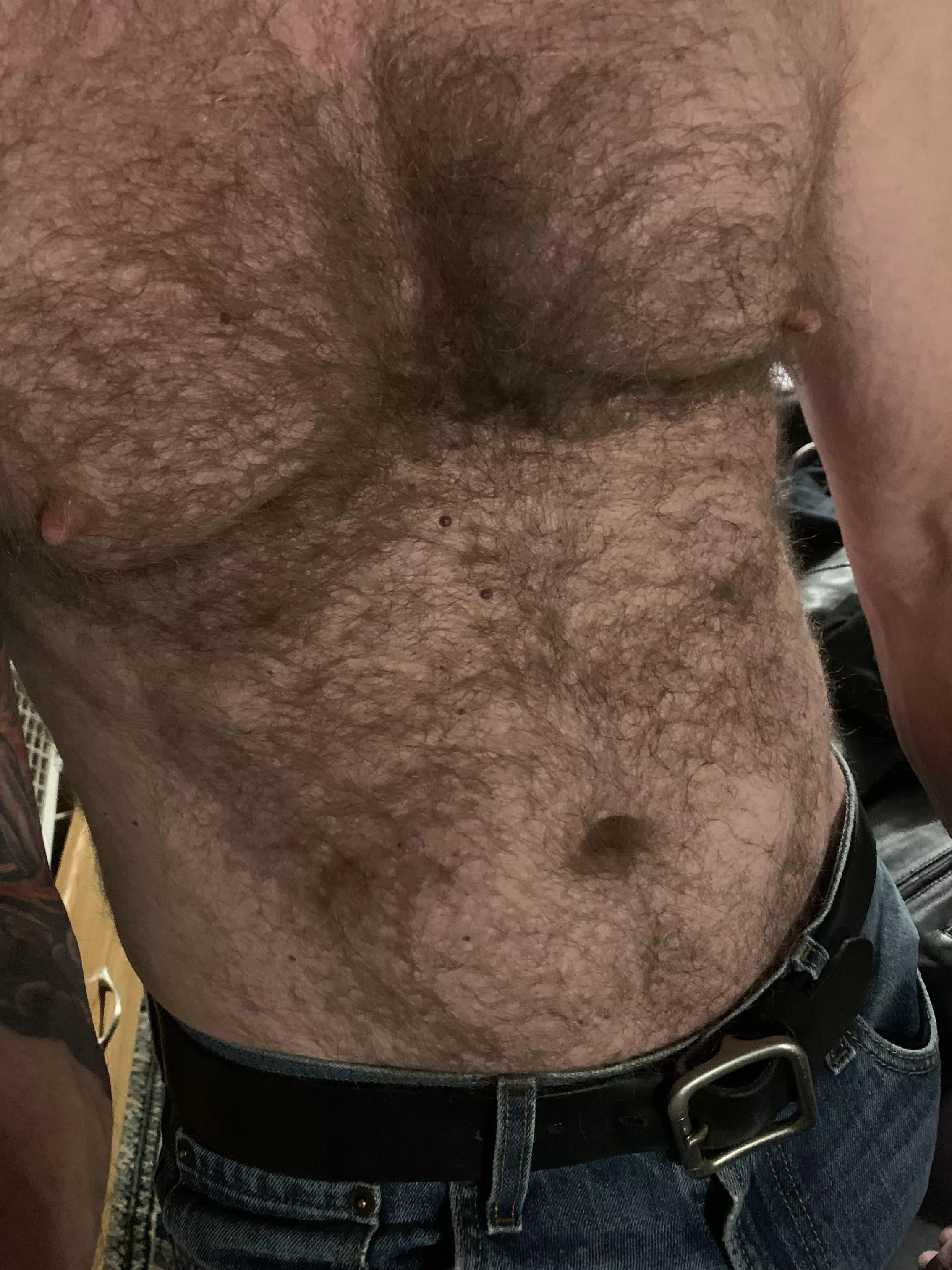 Furry enuff? posted by HDawg8