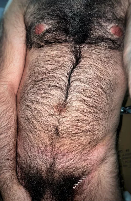 Get lost in this jungle of masculinity, boy! by Plauto1986