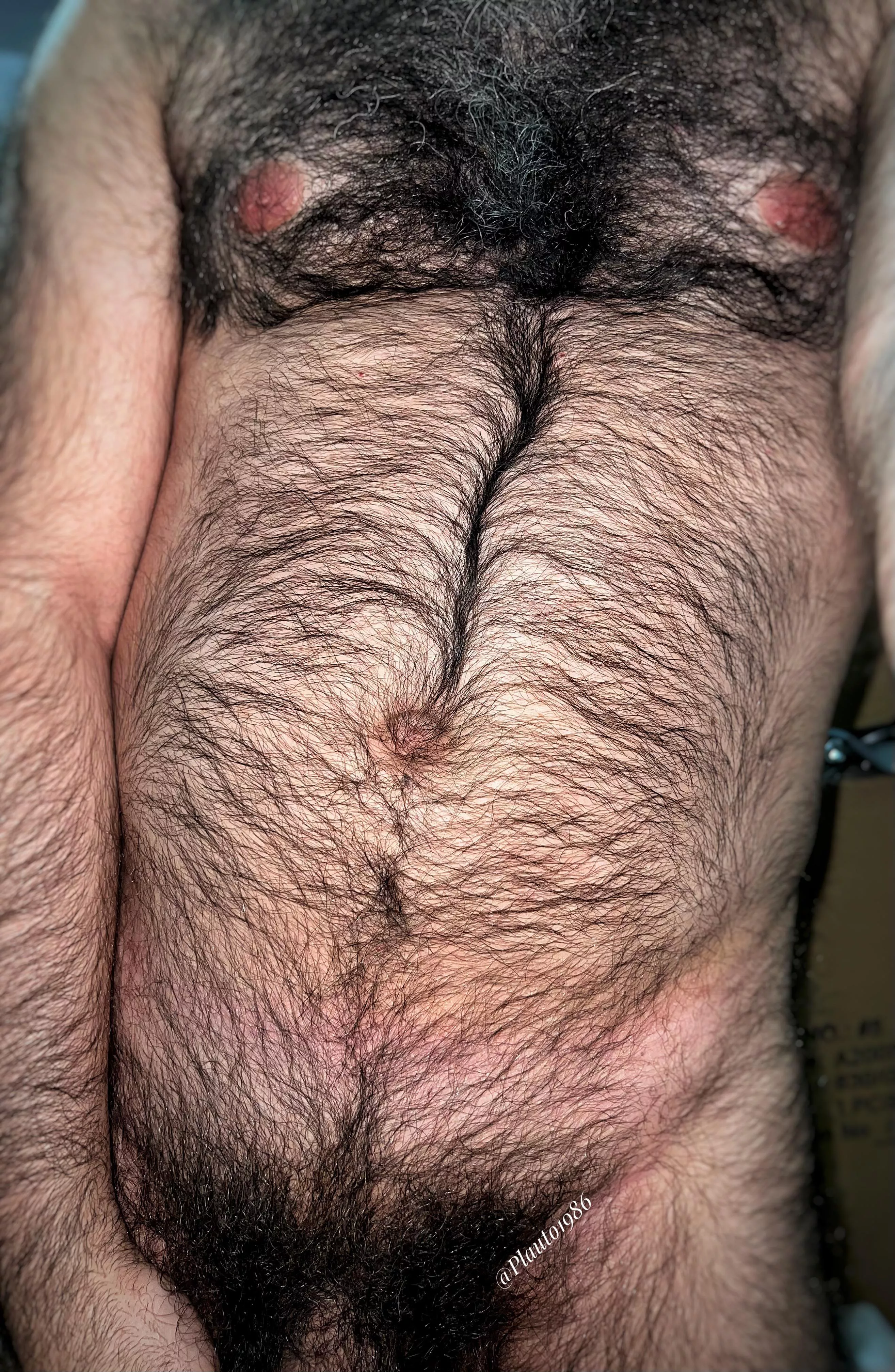 Get lost in this jungle of masculinity, boy! posted by Plauto1986