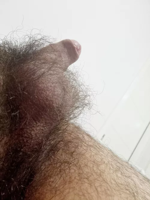 Go ahead... mush your face into the thick of it all and breathe it in like it's your last day on earth by Get_Served