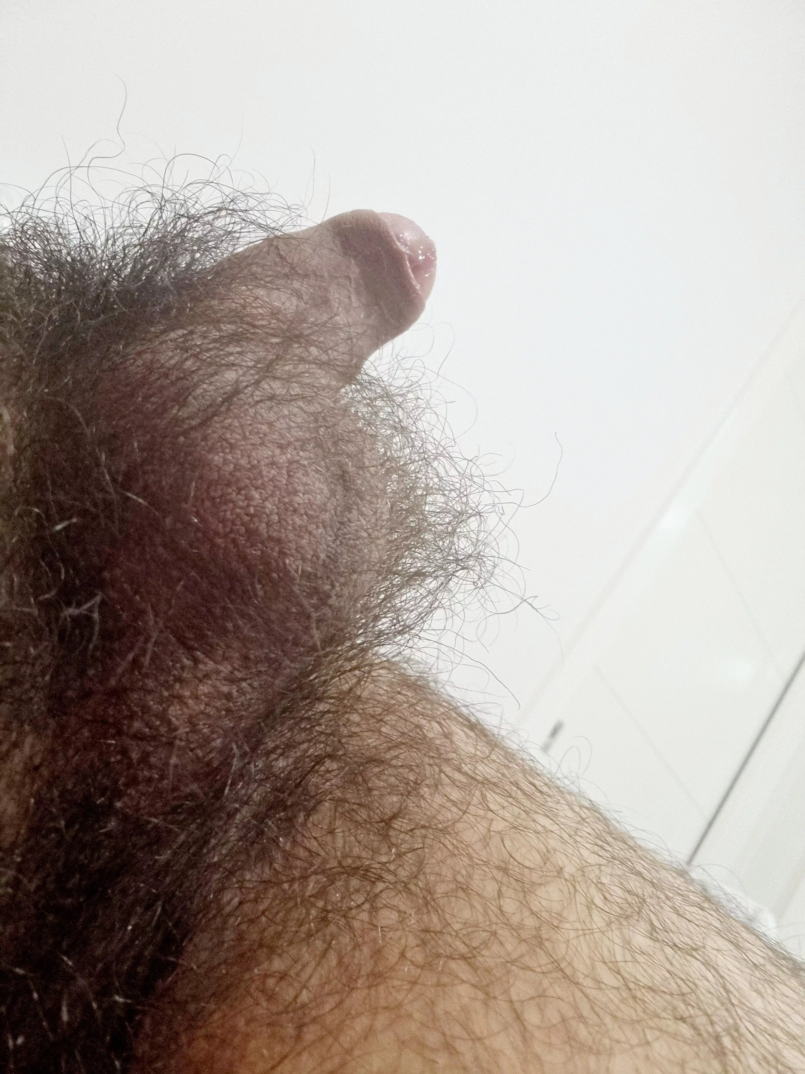 Go ahead... mush your face into the thick of it all and breathe it in like it's your last day on earth posted by Get_Served