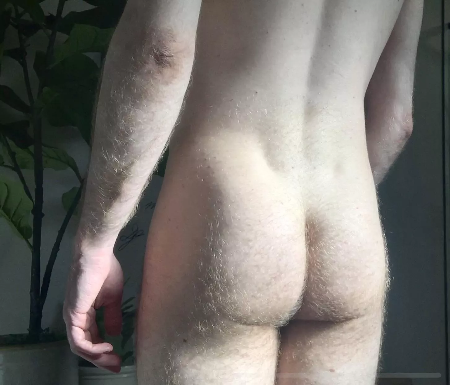 Good morning posted by smugsmogflipflop