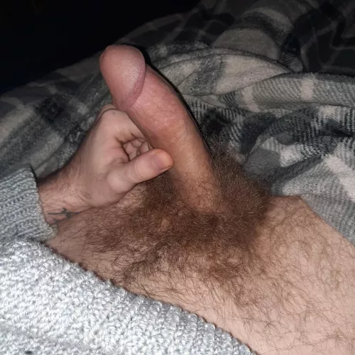 Got a dm saying my pubes were gross. I disagree by hairylover3