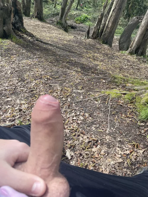 Had to pause on my daily walk by anon19363291