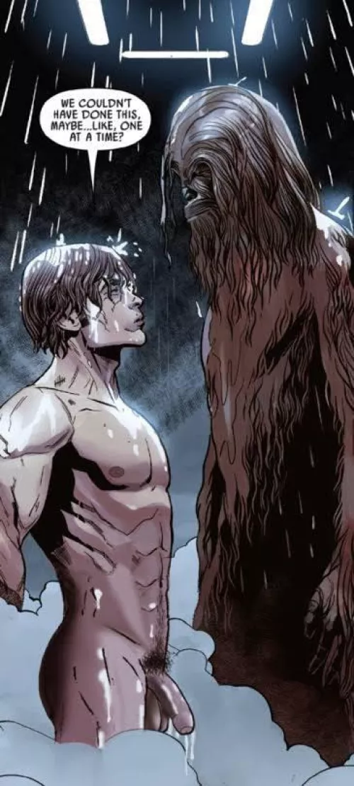 Han Solo and Chewbacca shower by nknown_Cryptid