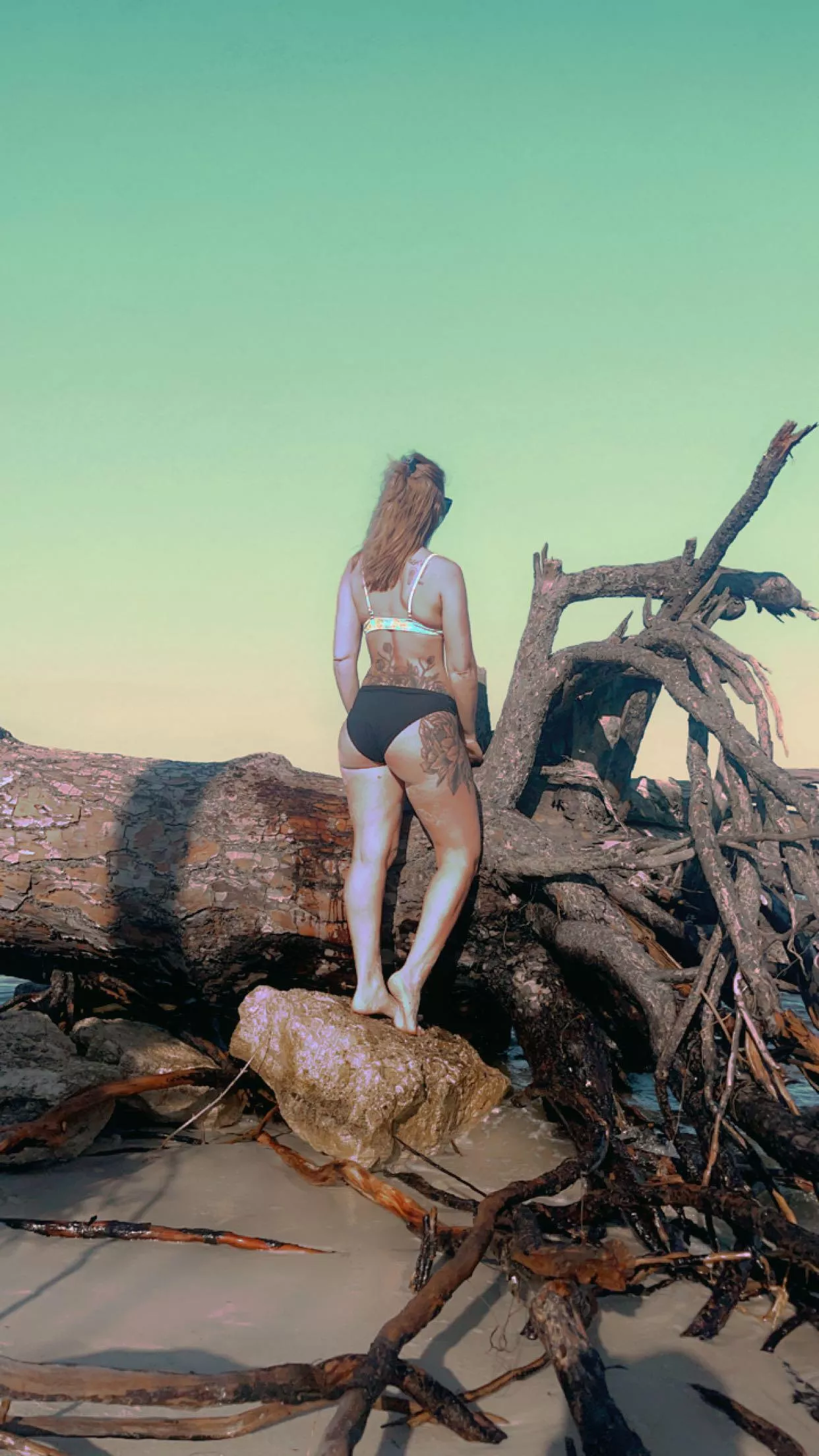 I could live here! 🤤 posted by No_Brief_2365