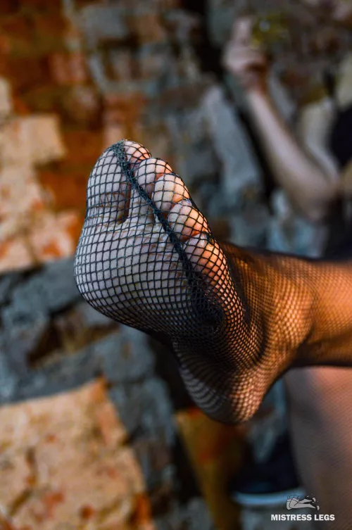 I have beautiful toes that need daily worship, so just shut up and lick! by MistressLegs