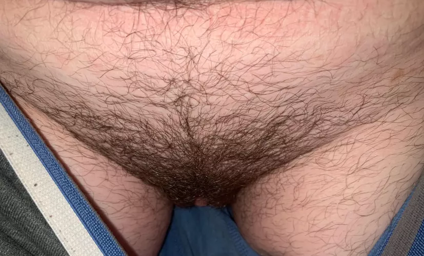 In the midst of growing my bush back by ElectionUsual