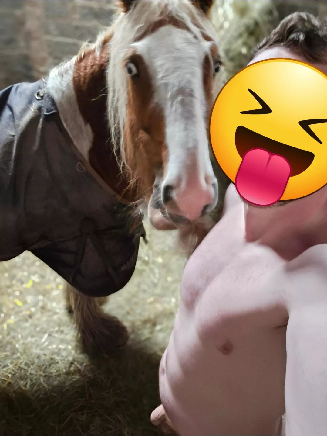 My horse isn't a nudist posted by nudistbeaches