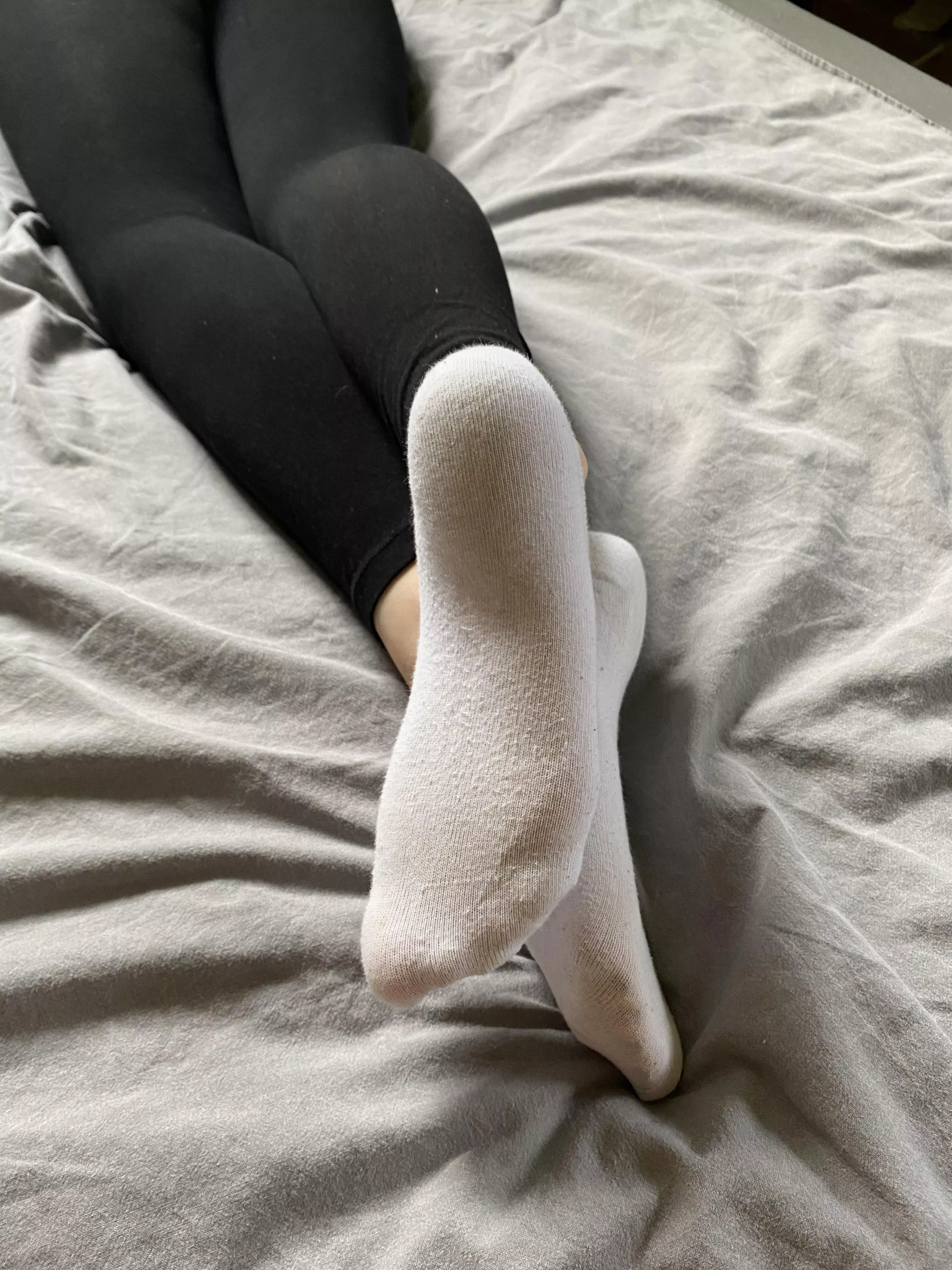 They look so cute even in socks😋 posted by averyysworld