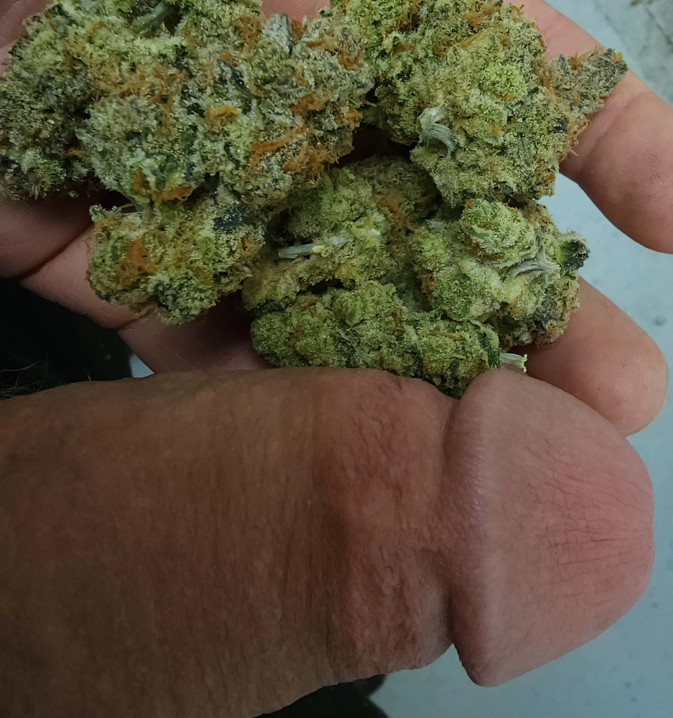 We only S(M)oke the best. Come taste. posted by Late-Acanthaceae7645