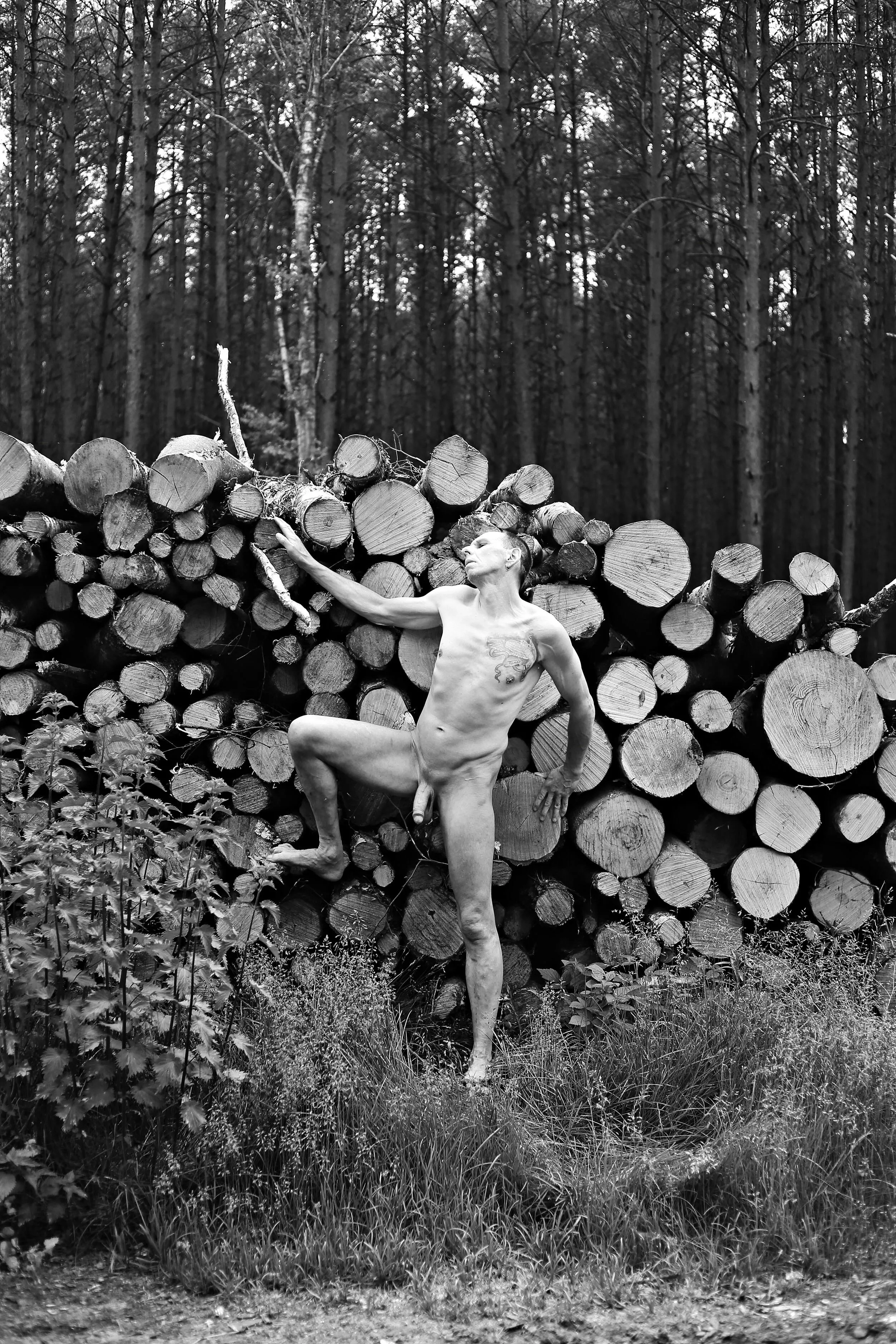 Wood posted by Crazy-Ad-5718