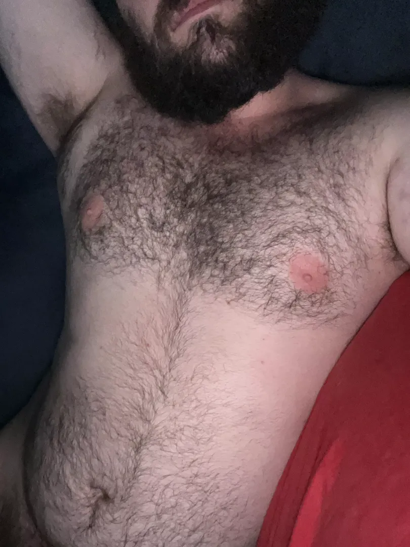Anyone wanna rub my hairy belly? by hairybellybear27