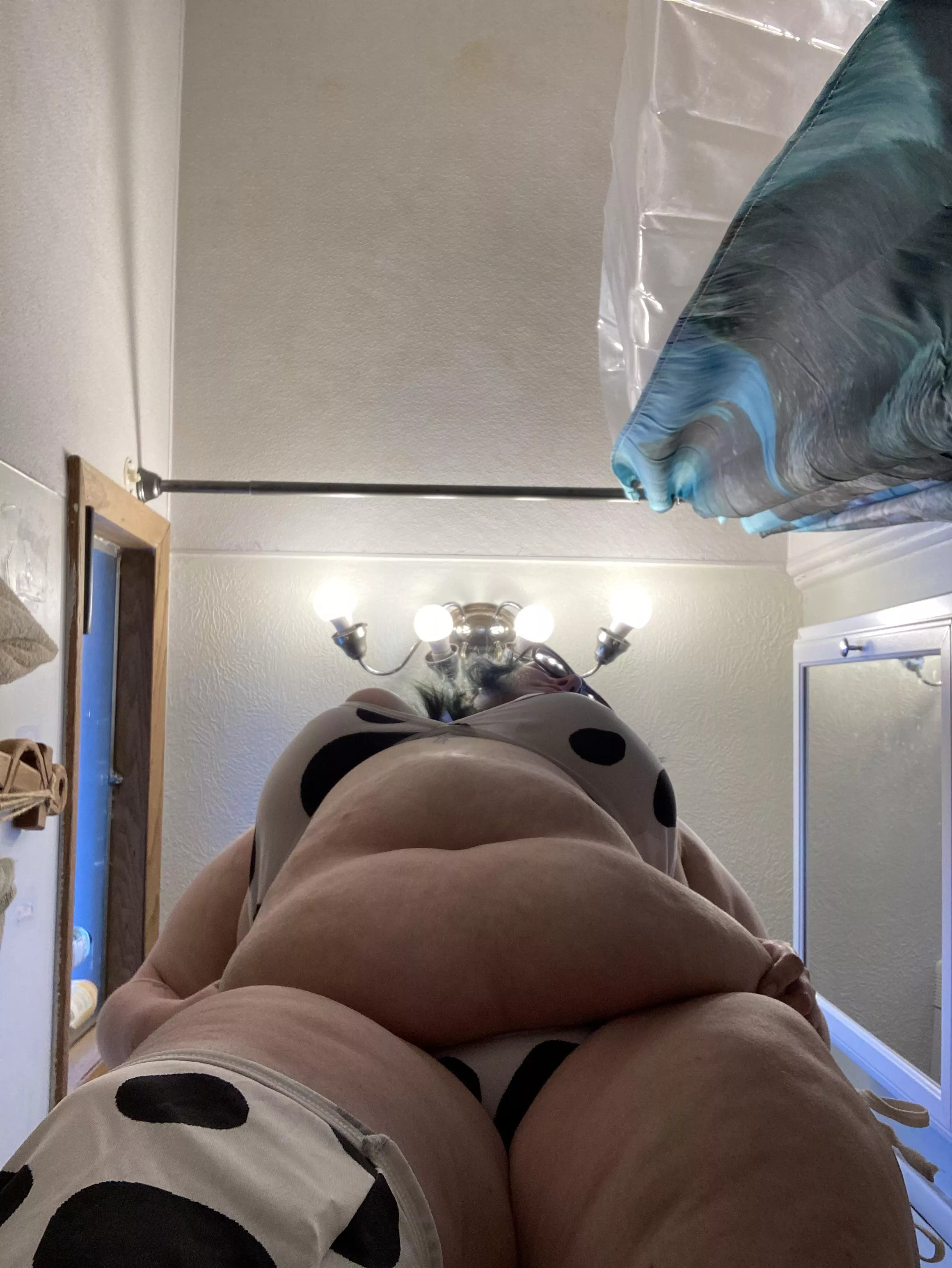 Come feed this cow 🐄 posted by xashesmayfall