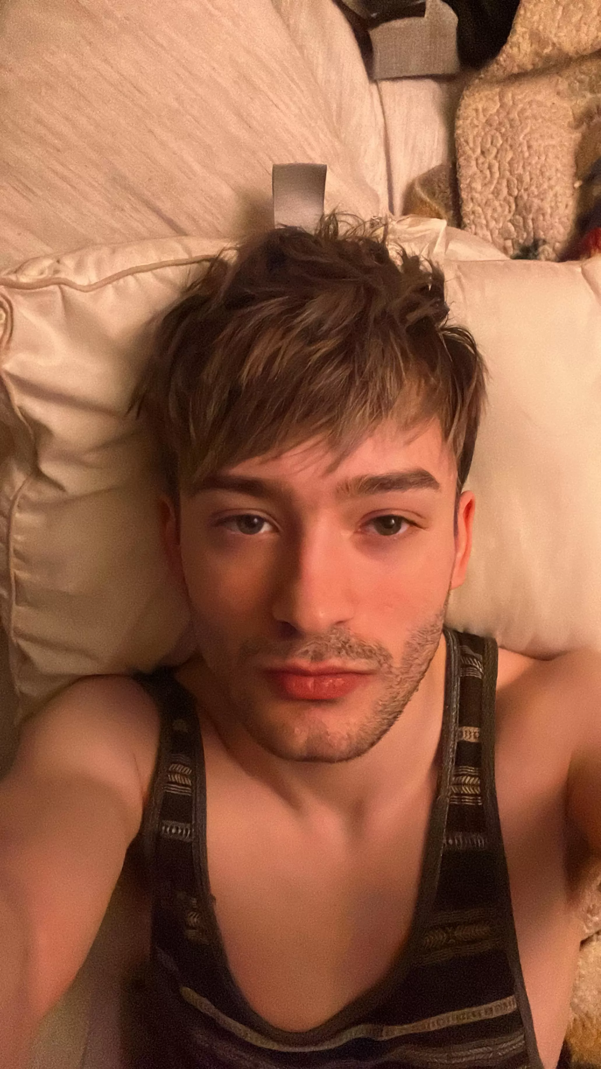 David here! posted by Reggumon