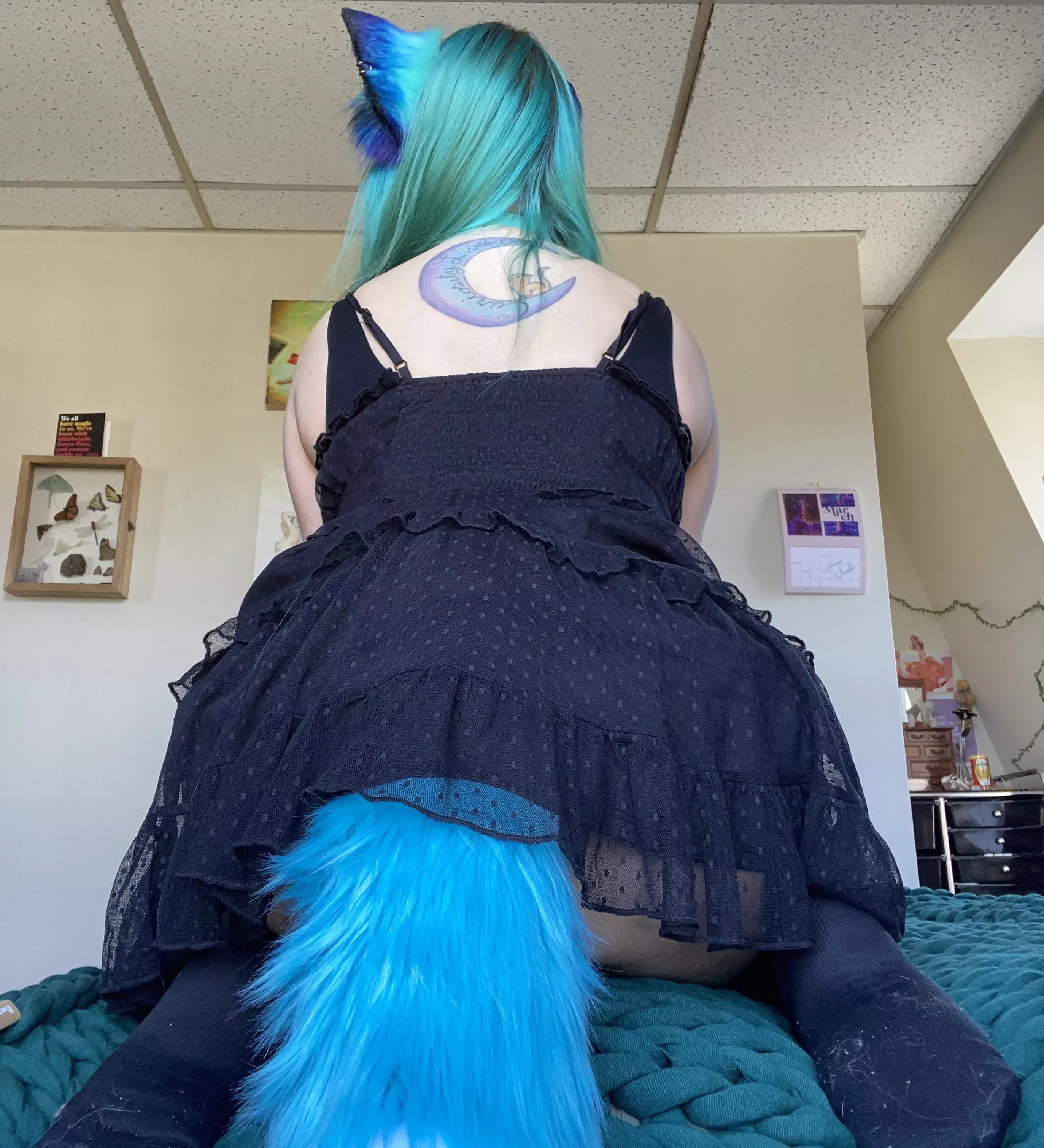 [f] do you like my tail? posted by Jadelush7