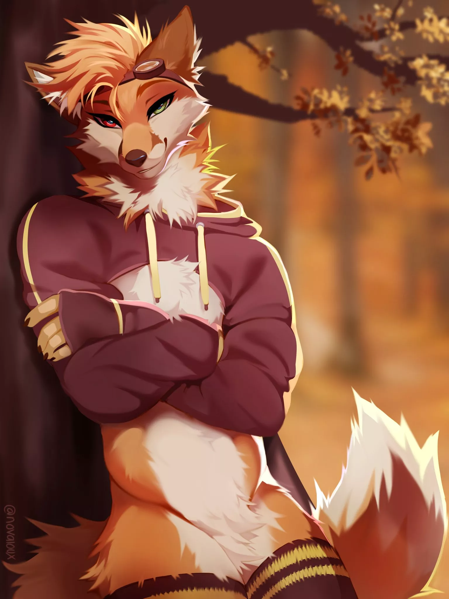 Hello There, Traveler [Novaloux] posted by DL2828