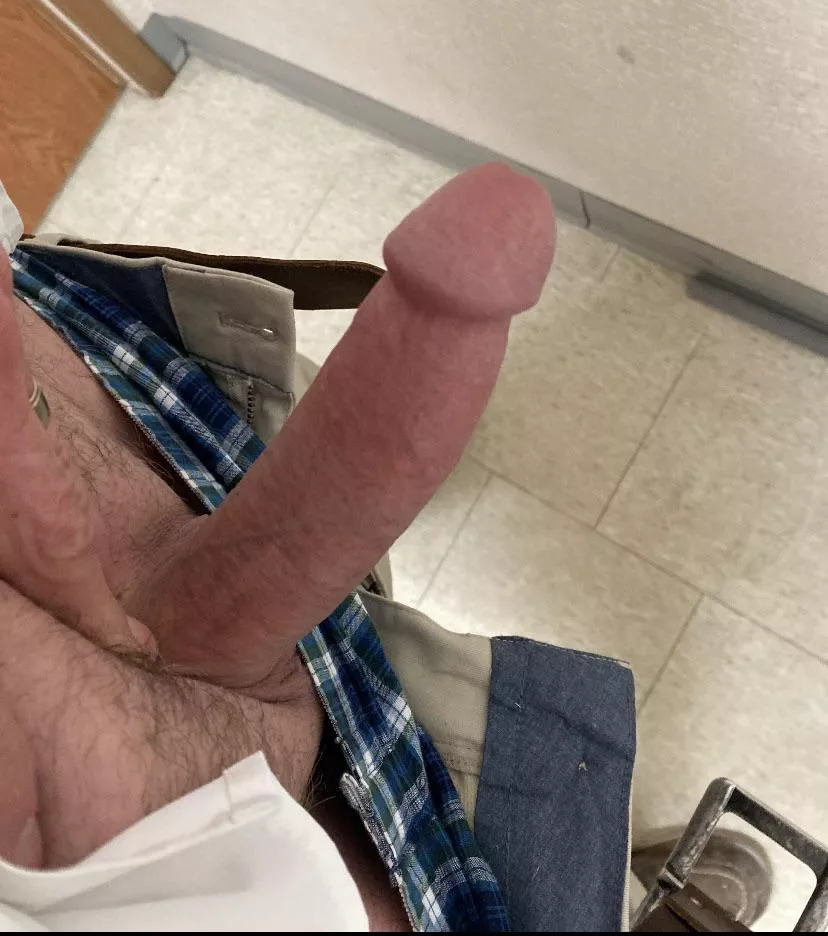 Horny at work. posted by NHDutchman
