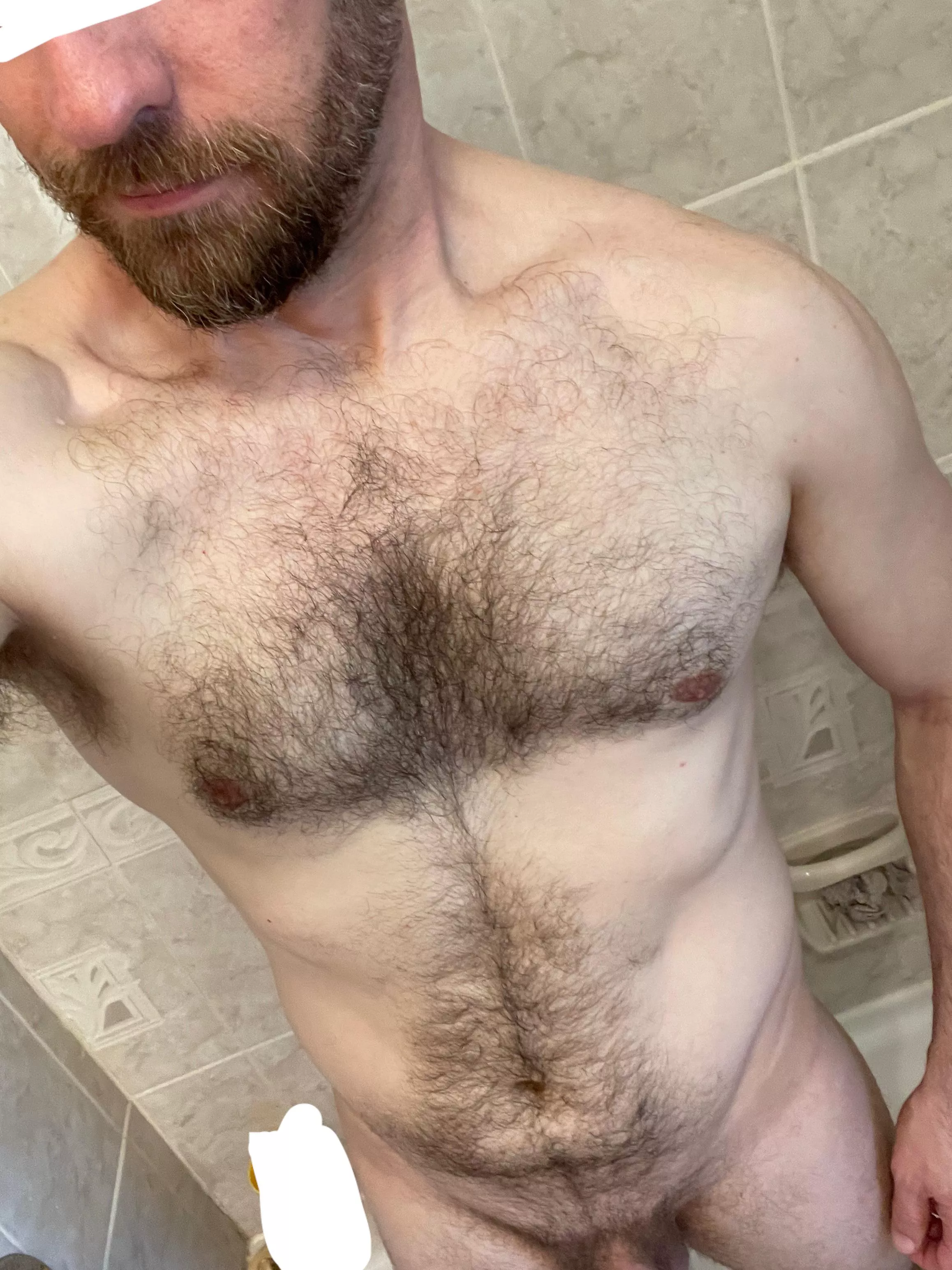 Is sex better before, after, or during a shower? posted by dadsyourteacher